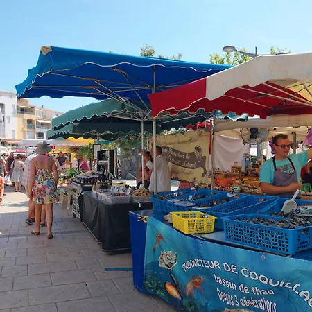Semesterbostad Perles Du Soleil By Interhome Agde